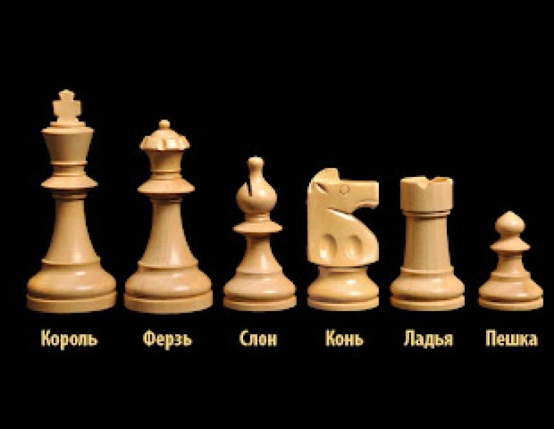 Как научиться играть в шахматы – пошаговый план, описание фигур, советы. Как ходят фигуры в шахматах: правила игры, названия и практические советы Инструкция как играть в шахматы